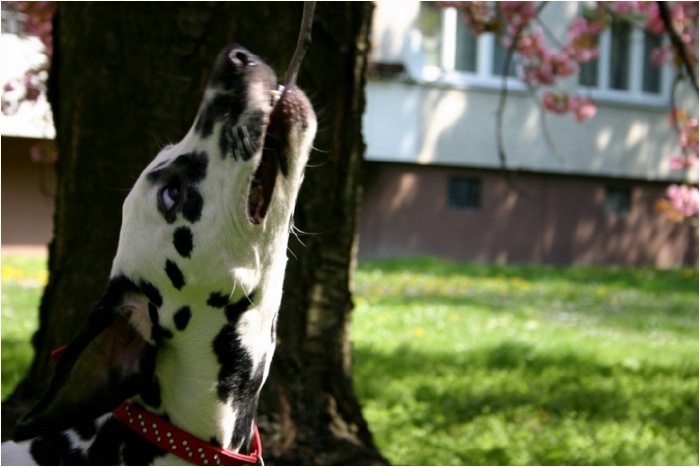 <b>und bei� dich ab!<b>